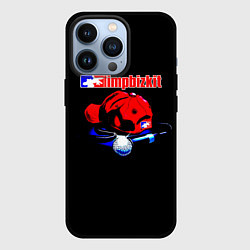 Чехол для iPhone 13 Pro LIMP BIZKIT, цвет: 3D-черный