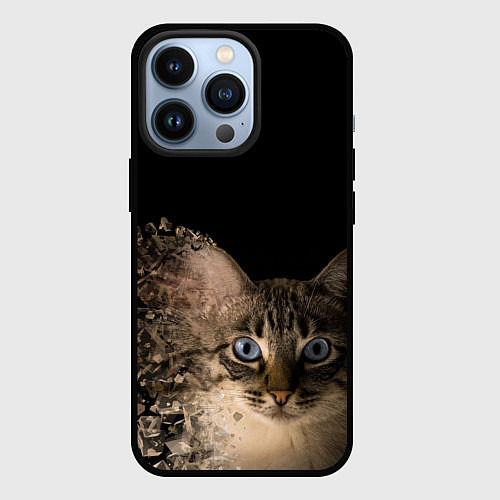 Чехол iPhone 13 Pro Disintegrating Cat / 3D-Черный – фото 1