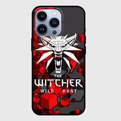 Чехол iPhone 13 Pro The Witcher