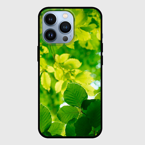 Чехол iPhone 13 Pro Листья / 3D-Черный – фото 1