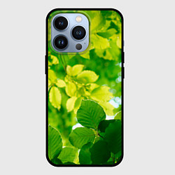 Чехол iPhone 13 Pro Листья