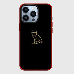 Чехол для iPhone 13 Pro Сова, цвет: 3D-красный