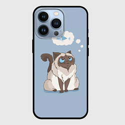 Чехол iPhone 13 Pro Голодный котейка