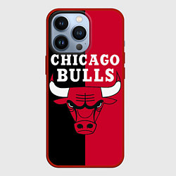 Чехол iPhone 13 Pro Чикаго Буллз