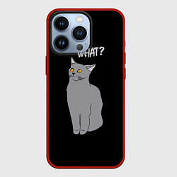 Чехол iPhone 13 Pro What cat