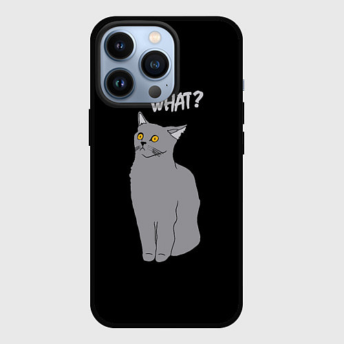 Чехол iPhone 13 Pro What cat / 3D-Черный – фото 1