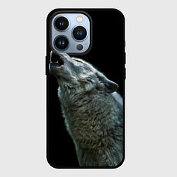 Чехол iPhone 13 Pro Воющий волк