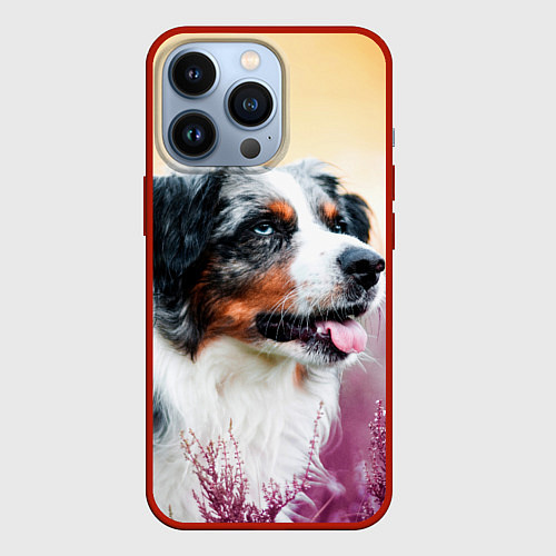 Чехол iPhone 13 Pro Австралийская Овчарка / 3D-Красный – фото 1