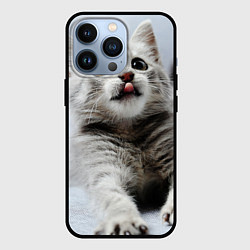 Чехол для iPhone 13 Pro Серый котенок, цвет: 3D-черный