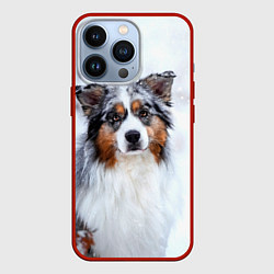 Чехол для iPhone 13 Pro Австралийская овчарка, цвет: 3D-красный
