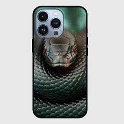 Чехол для iPhone 13 Pro Чёрная мамба, цвет: 3D-черный