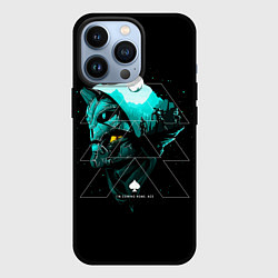 Чехол iPhone 13 Pro DESTINY