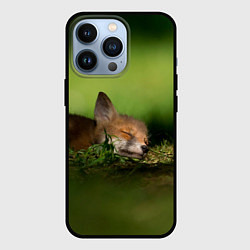 Чехол для iPhone 13 Pro Сонный лисенок, цвет: 3D-черный