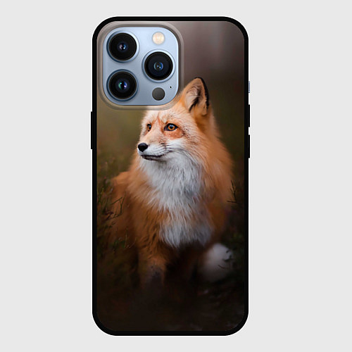 Чехол iPhone 13 Pro Лиса-охотница / 3D-Черный – фото 1