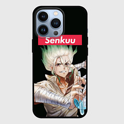 Чехол iPhone 13 Pro Senkuu