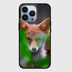 Чехол для iPhone 13 Pro Лисичка, цвет: 3D-черный