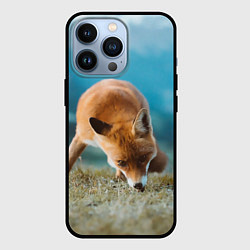 Чехол для iPhone 13 Pro Милая лисичка, цвет: 3D-черный