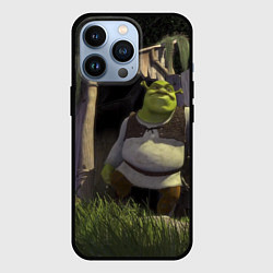 Чехол для iPhone 13 Pro Shrek: Somebody Once Told Me, цвет: 3D-черный