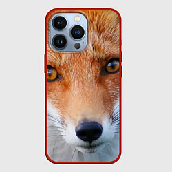 Чехол iPhone 13 Pro Крупно мордочка лисы