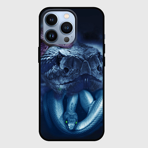 Чехол iPhone 13 Pro Мифические змеи / 3D-Черный – фото 1