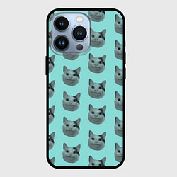 Чехол iPhone 13 Pro ШТОШ
