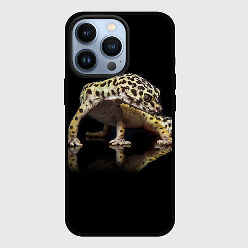 Чехол iPhone 13 Pro ЭУБЛЕФАР EUBLEPHARIS / 3D-Черный – фото 1