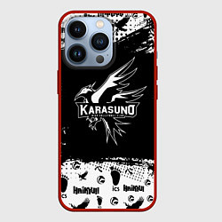 Чехол iPhone 13 Pro Старшая школа Карасуно