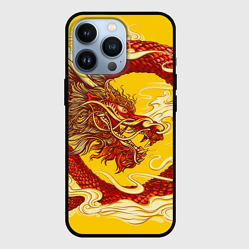 Чехол iPhone 13 Pro Китайский Дракон, China Dragon / 3D-Черный – фото 1