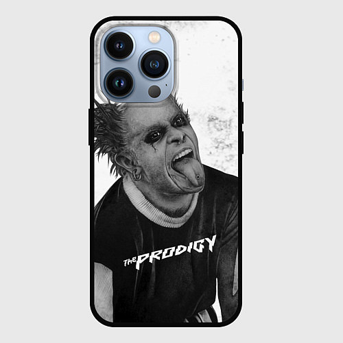 Чехол iPhone 13 Pro THE PRODIGY ПРОДИДЖИ Z / 3D-Черный – фото 1