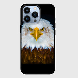 Чехол iPhone 13 Pro Белоголовый орлан