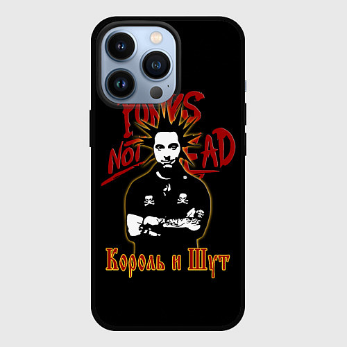 Чехол iPhone 13 Pro Punks Not Dead КиШ / 3D-Черный – фото 1