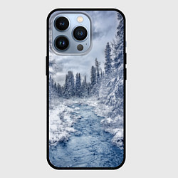 Чехол для iPhone 13 Pro СНЕЖНЫЙ ПЕЙЗАЖ, цвет: 3D-черный