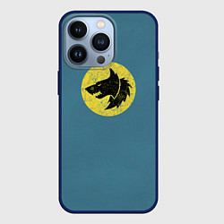 Чехол для iPhone 13 Pro Космические Волки цвет легиона 6, цвет: 3D-тёмно-синий