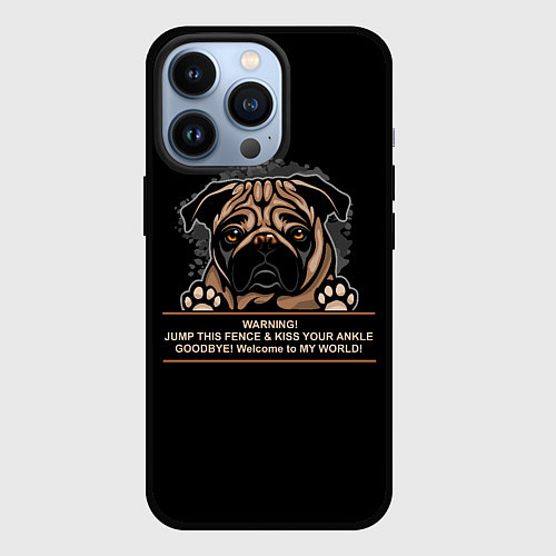 Чехол iPhone 13 Pro Собака Мопс / 3D-Черный – фото 1