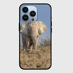 Чехол для iPhone 13 Pro Африканский белый слон, цвет: 3D-черный