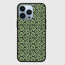 Чехол iPhone 13 Pro Змеиная Шкура Snake