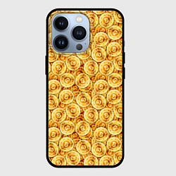 Чехол iPhone 13 Pro Золотые Биткоины