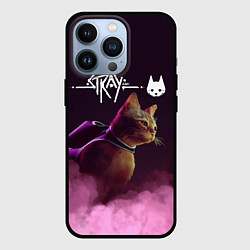 Чехол iPhone 13 Pro Stray