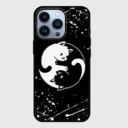 Чехол для iPhone 13 Pro ИНЬ ЯНЬ КОТИКИ БРЫЗГИ И НИЧЕГО ЛИШНЕГО, цвет: 3D-черный