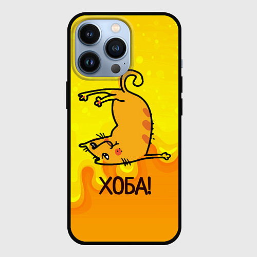 Чехол iPhone 13 Pro Кот делает Хоба! / 3D-Черный – фото 1