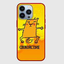 Чехол для iPhone 13 Pro Спокойствие Спокойный кот, цвет: 3D-красный