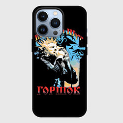 Чехол для iPhone 13 Pro Король и Шут ГОРШОК, цвет: 3D-черный