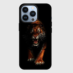 Чехол iPhone 13 Pro Тигр на черном фоне