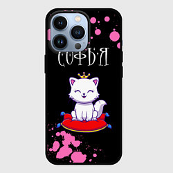 Чехол для iPhone 13 Pro Софья - КОШКА - Брызги, цвет: 3D-черный