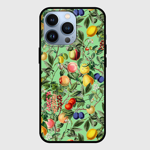 Чехол iPhone 13 Pro Летнее Ассорти Фруктов / 3D-Черный – фото 1