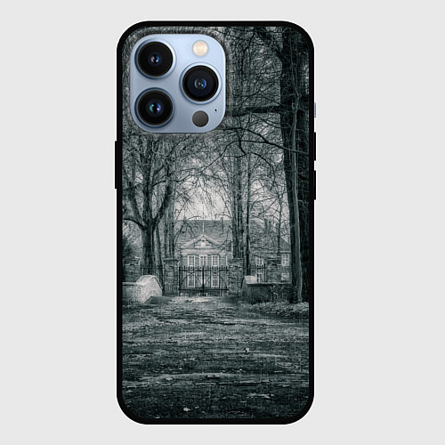 Чехол iPhone 13 Pro Мрачный особняк / 3D-Черный – фото 1