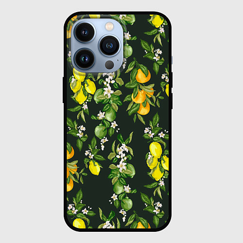 Чехол iPhone 13 Pro Апельсины, Лаймы и Лимоны / 3D-Черный – фото 1