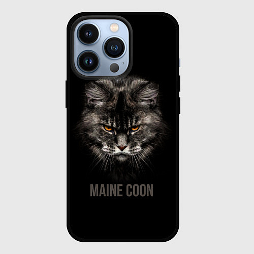 Чехол iPhone 13 Pro Maine coon - кот / 3D-Черный – фото 1