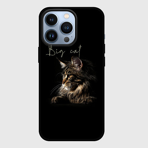 Чехол iPhone 13 Pro Big cat Maine Coon / 3D-Черный – фото 1