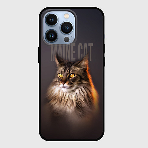 Чехол iPhone 13 Pro Maine cat / 3D-Черный – фото 1